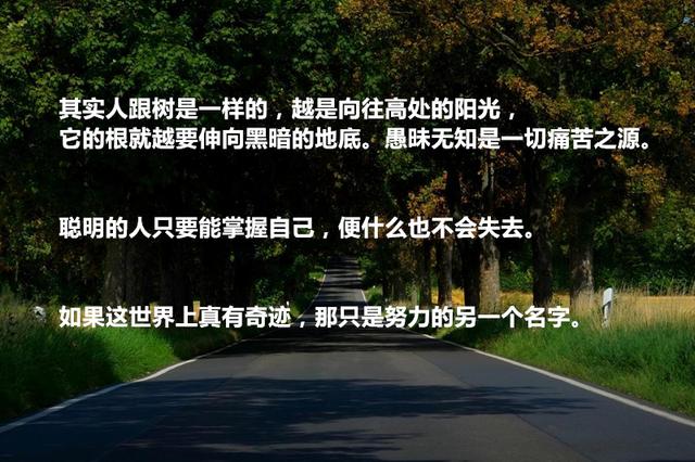 看完伟大哲学家尼采这20句名言，瞬间明白了很多道理，收获满满