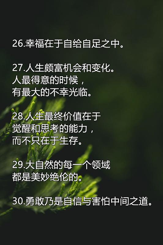 亚里士多德是百科全书式的哲学家，这30句哲理名言，太有道理了