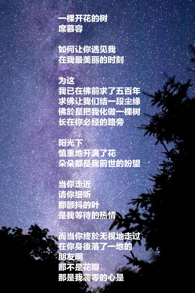 席慕容最美的八首诗，句句美到心碎，触动心扉，适合一生珍藏