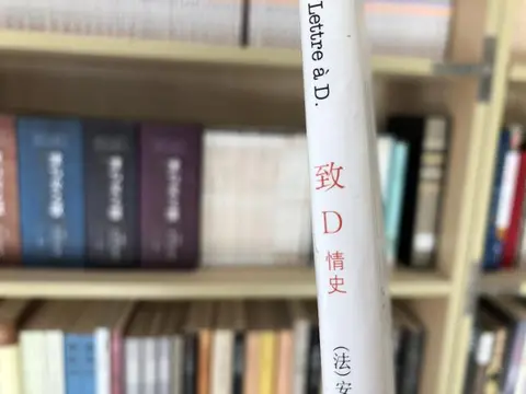 一本让人感动的书：《致D情史》，八旬夫妻生死恋，读完泪流满面