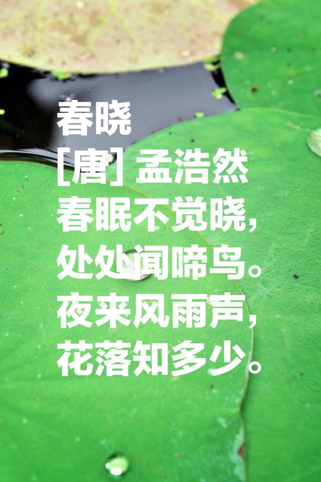 孟浩然最有名气的八首诗，境界大气，雄浑豁达，难怪李白都仰慕他