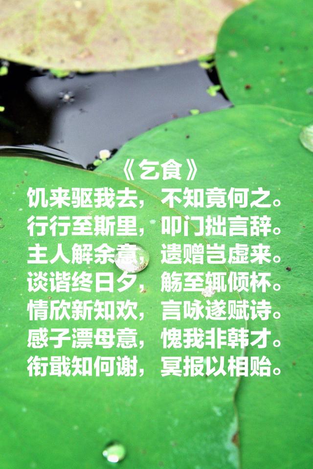 陶渊明这有意境的诗，洒脱闲淡，每句都让人沉醉其中