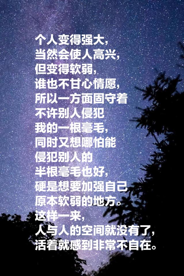 夏目漱石的《我是猫》，最经典的十段话，鲁迅评价