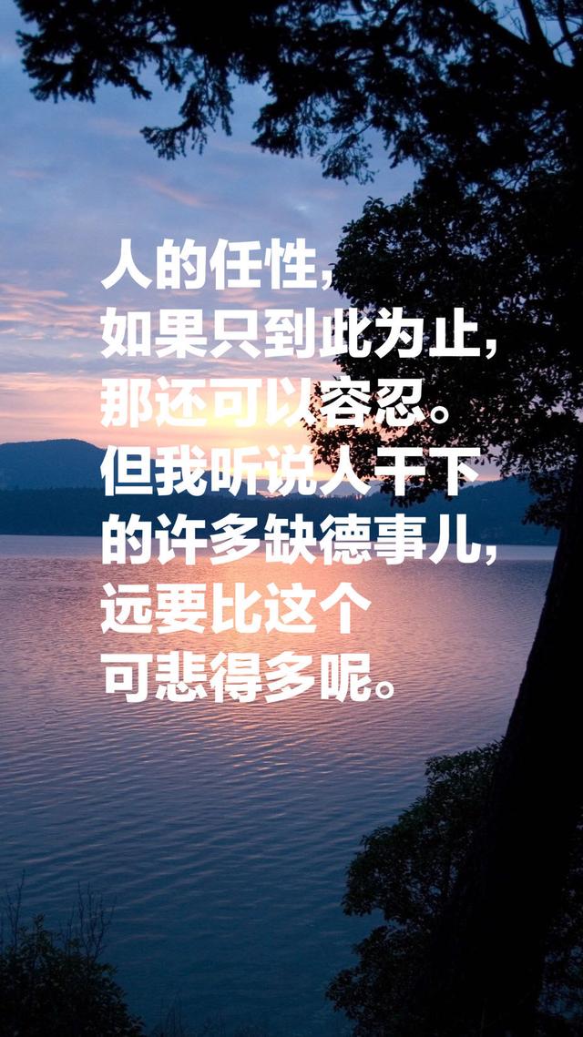 夏目漱石的《我是猫》，最经典的十段话，鲁迅评价