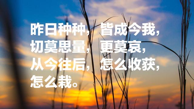 胡适最经典的12句话，彰显民族情怀与人文高度，感人至深值得收藏