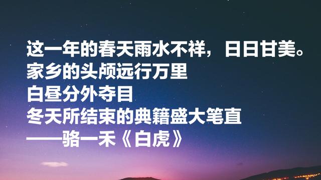 北大三剑客之一，纪念诗人骆一禾，他的这八首诗写得太好了