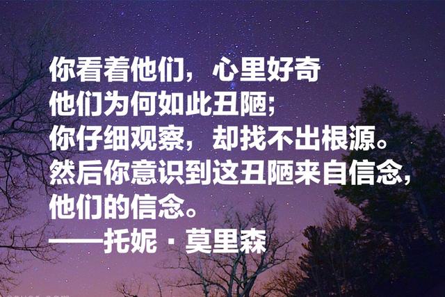 首位黑人女性诺贝尔文学奖得主，看她作品话，感叹文笔真细腻