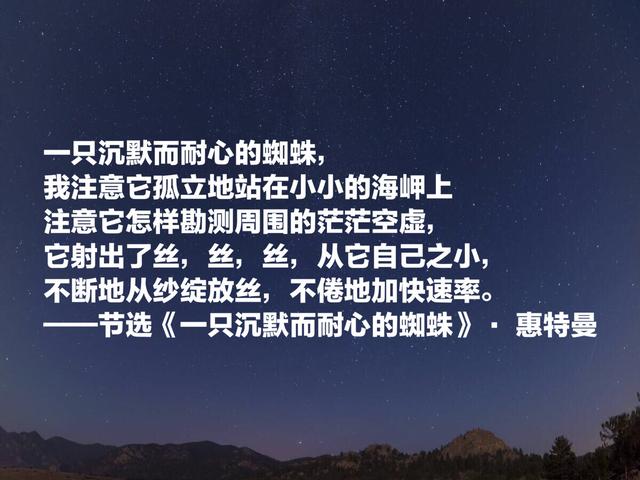 欣赏惠特曼这八首经典诗歌，每个字都饱含力量与热情，必读精品