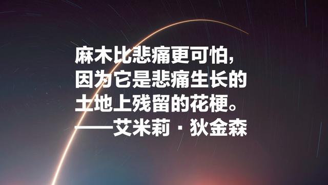 她是比肩惠特曼的伟大诗人，狄金森这睿智的诗，内容深邃