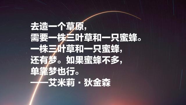 她是比肩惠特曼的伟大诗人，狄金森这睿智的诗，内容深邃