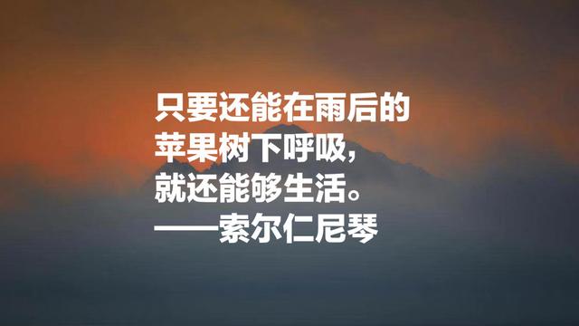 俄罗斯作家索尔仁尼琴名言，句句正义感十足，值得细细品读