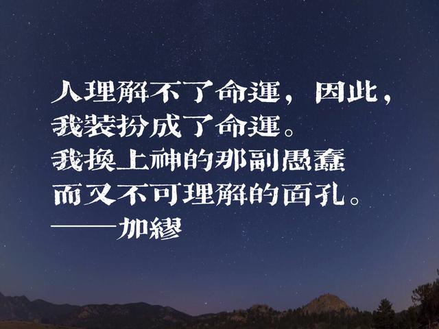 加缪的《局外人》太深入人心了，欣赏这格言，句句富含哲理性