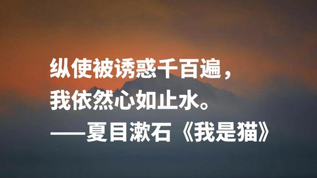 日本文学巨匠夏目漱石，代表作《我是猫》摘抄，句句轻快洒脱