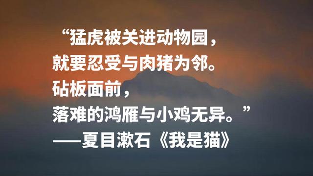 日本文学巨匠夏目漱石，代表作《我是猫》摘抄，句句轻快洒脱