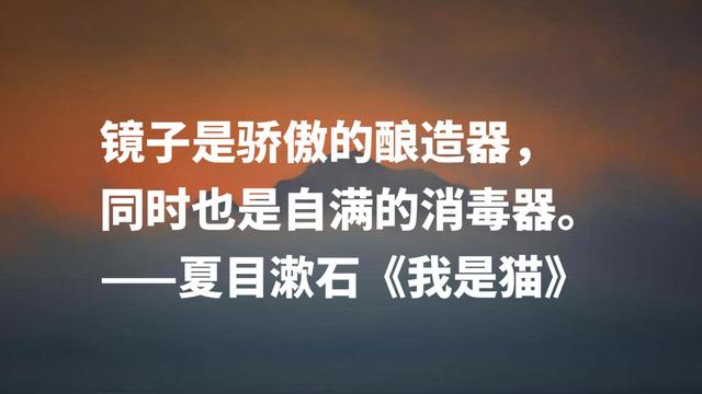 日本文学巨匠夏目漱石，代表作《我是猫》摘抄，句句轻快洒脱