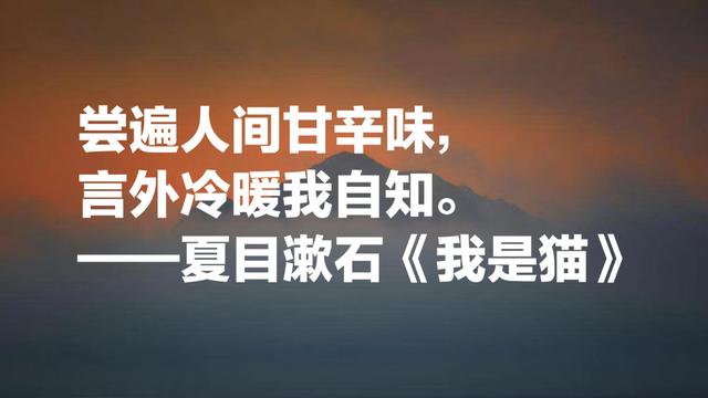 日本文学巨匠夏目漱石，代表作《我是猫》摘抄，句句轻快洒脱