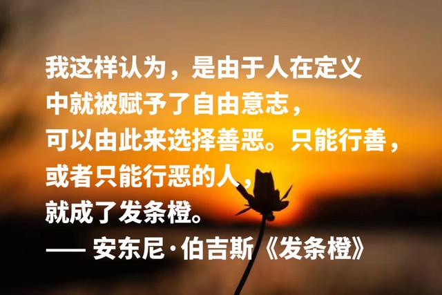 他是写小说的音乐家，《带发条的橙子》格言，句句充满艺术感