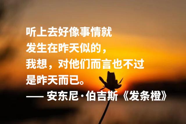 他是写小说的音乐家，《带发条的橙子》格言，句句充满艺术感