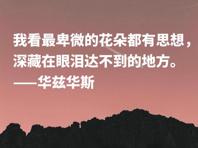 欧洲田园诗鼻祖，华兹华斯这暗含自然美的格言，读懂净化心灵