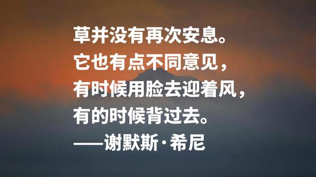 伟大的英语诗人，谢默斯·希尼八句格言，淳朴自然，暗含生活哲理