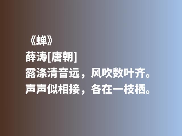 曾与元稹有一段凄美的爱情，唐朝才女薛涛，抒情与咏物诗意境绝美