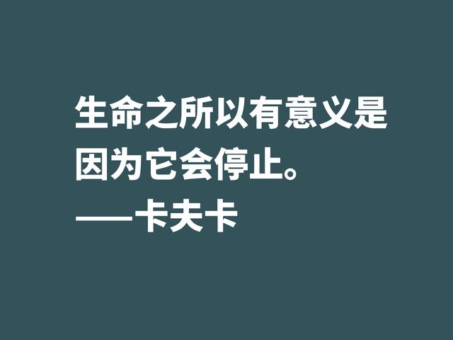 震惊世界文坛的大作家，欣赏卡夫卡格言，走进作家的精神世界