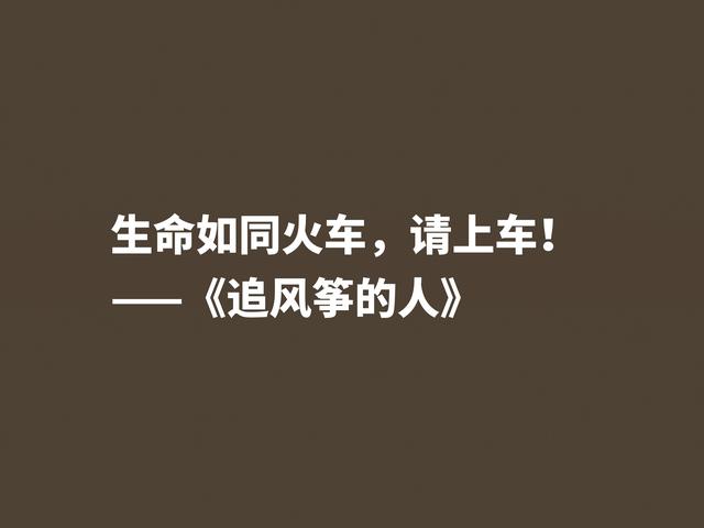 一口气读完的小说，《追风筝的人》魅力无限，这格言堪称经典