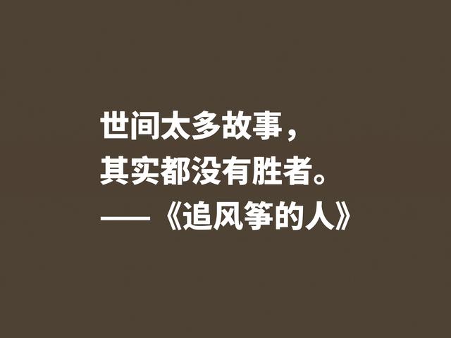 一口气读完的小说，《追风筝的人》魅力无限，这格言堪称经典