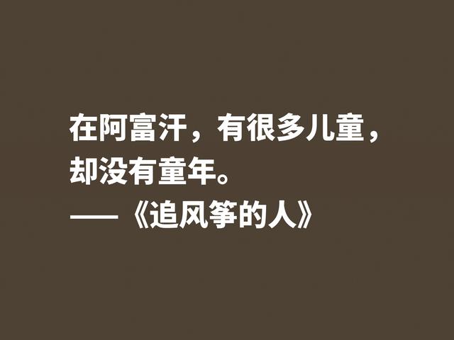 一口气读完的小说，《追风筝的人》魅力无限，这格言堪称经典