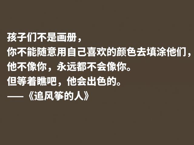 一口气读完的小说，《追风筝的人》魅力无限，这格言堪称经典