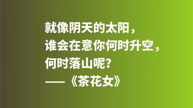 著名爱情悲剧之作，《茶花女》格言，尽显小仲马高尚的爱情观