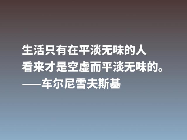 他是俄国唯物主义哲学家，这格言，彰显美学之精华，他是谁？