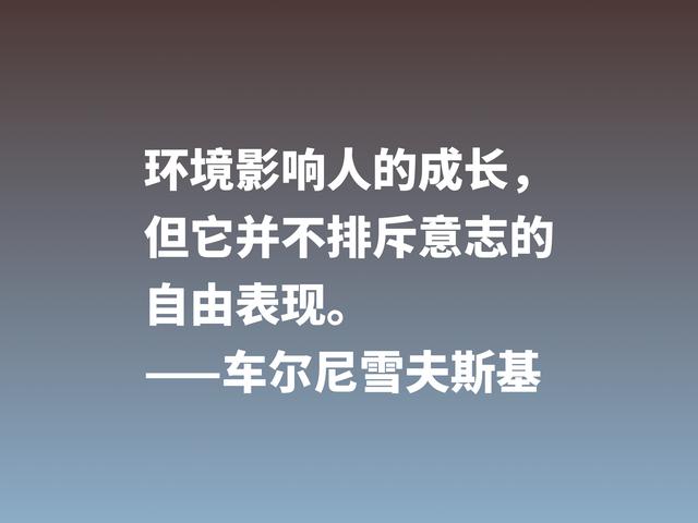 他是俄国唯物主义哲学家，这格言，彰显美学之精华，他是谁？