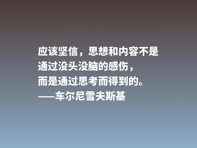 他是俄国唯物主义哲学家，这格言，彰显美学之精华，他是谁？