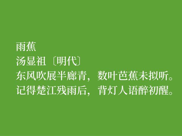 明朝诗人汤显祖，以刚正不阿闻名，这诗体现浓厚的人生哲学观