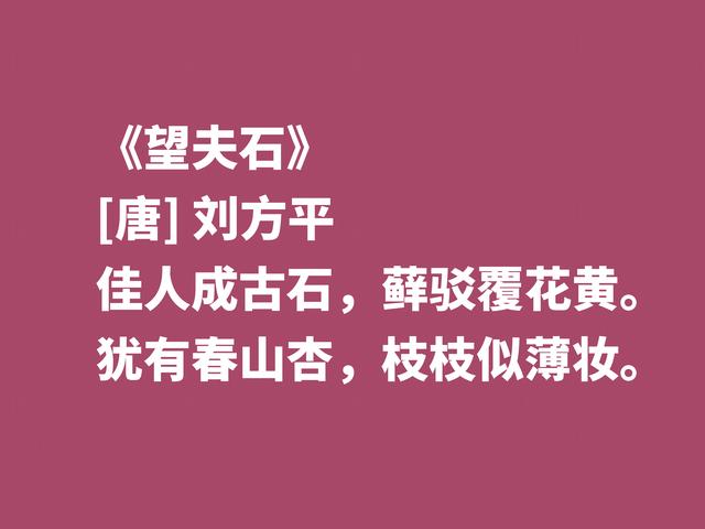 他是被严重低估的唐朝诗人，细品刘方平诗，意境让人回味无穷