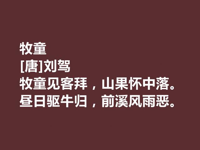 晚唐极具个性的诗人，刘驾这诗作用词奇特，暗含同情百姓之情