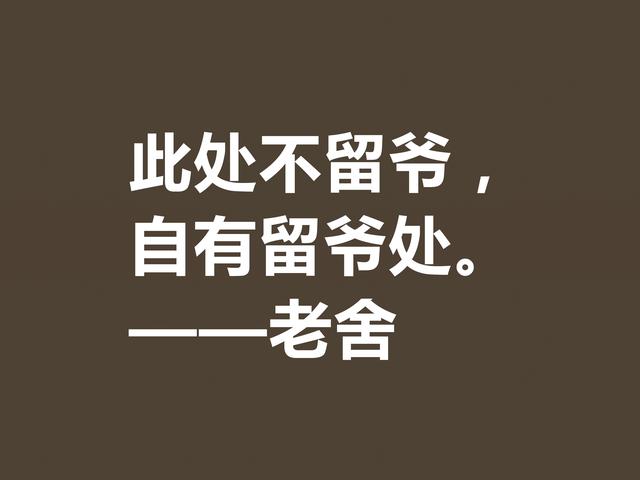 他是人民艺术家，老舍先生格言通俗易懂，暗含深厚的文化底蕴