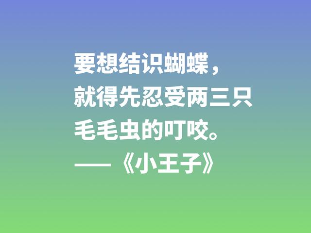 经久不衰的读物，细品小说《小王子》这格言，蕴含着博大的爱