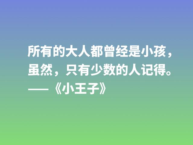 经久不衰的读物，细品小说《小王子》这格言，蕴含着博大的爱