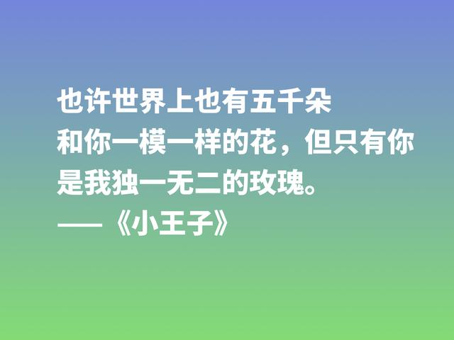 经久不衰的读物，细品小说《小王子》这格言，蕴含着博大的爱