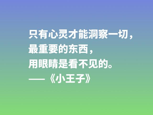 经久不衰的读物，细品小说《小王子》这格言，蕴含着博大的爱