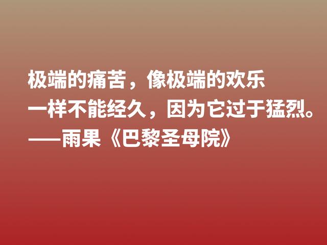 伟大的长篇小说，《巴黎圣母院》格言，告诉世人美与丑的内涵