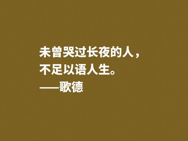 享誉世界的德国作家，深悟都德这格言，体现高人一等的人生观