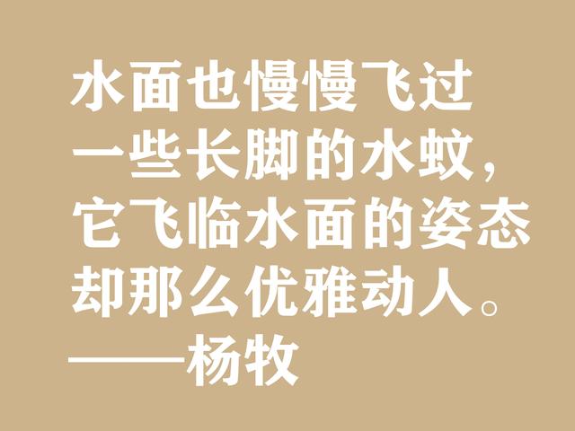 当代现实主义诗人，杨牧八句格言，体现民族精神，充满民族使命感