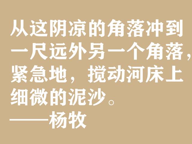 当代现实主义诗人，杨牧八句格言，体现民族精神，充满民族使命感