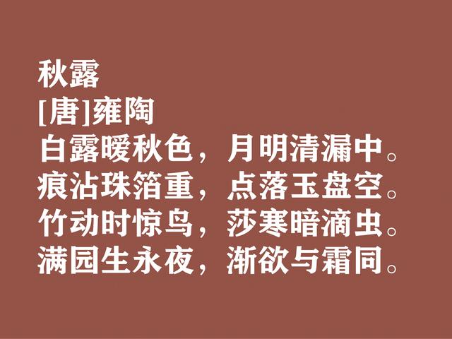 白露时节寄情，欣赏古代文人诗词，衬托出满满的游子思乡之情