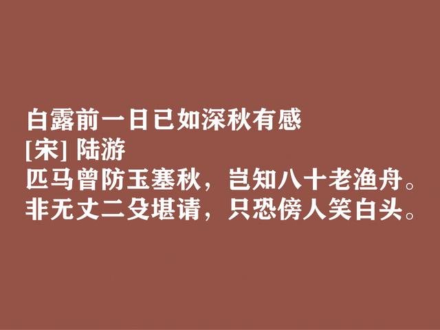 白露时节寄情，欣赏古代文人诗词，衬托出满满的游子思乡之情