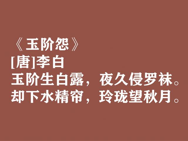 白露时节寄情，欣赏古代文人诗词，衬托出满满的游子思乡之情