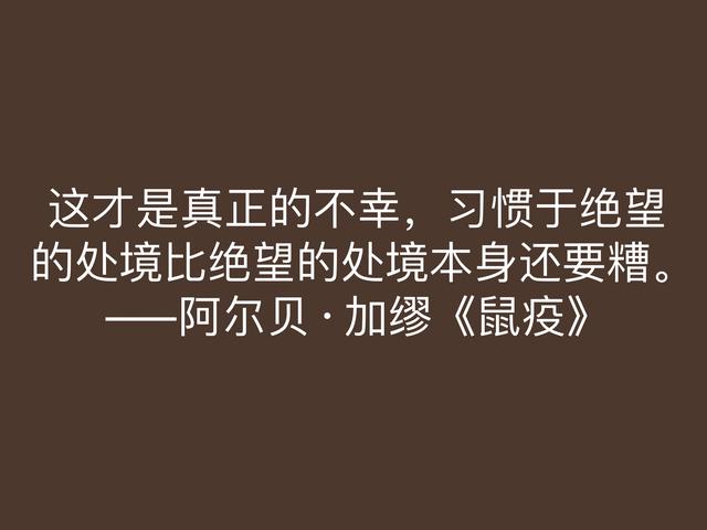 法国大作家加缪，小说《鼠疫》格言，充满人生哲理，值得深悟